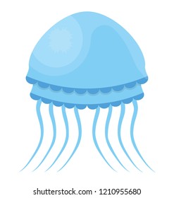 Jellyfish flat colored icon