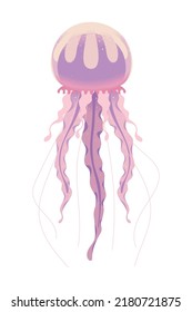 jellyfish flat icon white background