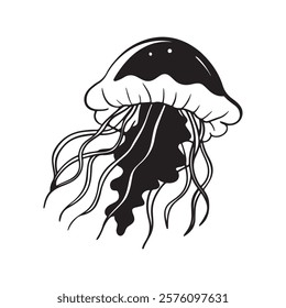 Jellyfish - Graceful and Mesmerizing Ocean Drifters