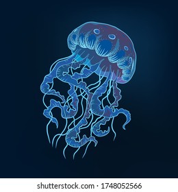 Jellyfish Hand drawn illustration. Marine vector blue underwater