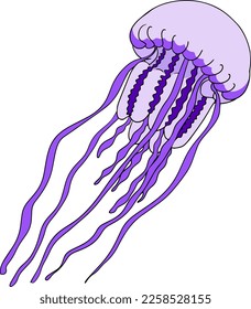 Jellyfish. Hand drawn underwater creatures. Vector sea life, seafood. Colored marine animals