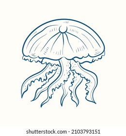 Jellyfish Hand-drawn realistic. Oceans nature in vintage style. 