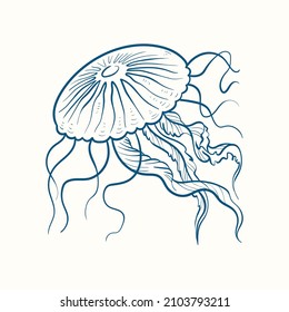 Jellyfish Hand-drawn realistic. Oceans nature in vintage style. 