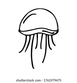 Jellyfish icon black and white. Line style. Ocean theme. Vector illustration
