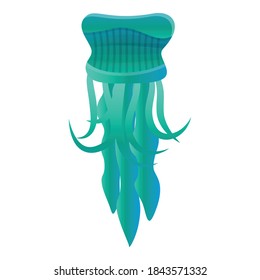 Jellyfish icon. Cartoon of jellyfish vector icon for web design isolated on white background