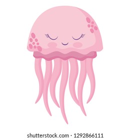 jellyfish icon image