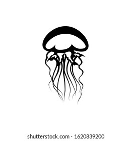 jellyfish icon. vector illustration of jellyfish