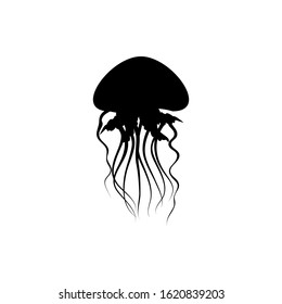 jellyfish icon. vector illustration of jellyfish