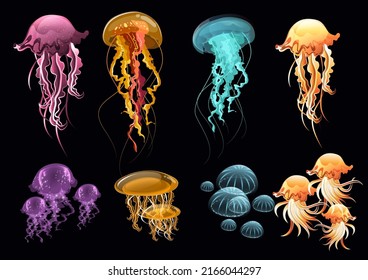 Jellyfish icons colorful modern design