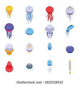 Jellyfish icons set. Isometric set of jellyfish vector icons for web design isolated on white background