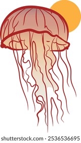 Jellyfish illustration, Colored jellyfish vector	