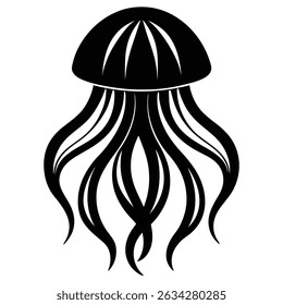 Jellyfish Illustration on white background