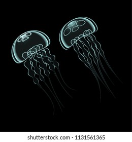 Jellyfish illustration in vector.