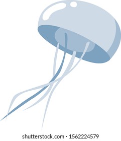 Jellyfish, illustration, vector on white background.