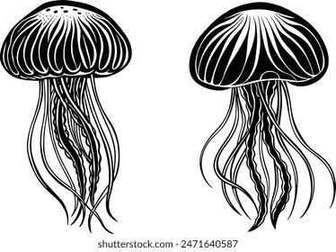 Jellyfish illustration white background eps 10