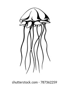 jellyfish, ink hand drawn vector illustration