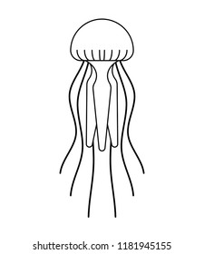 Jellyfish isolated. Marine animal. wildlife Vector illustration 