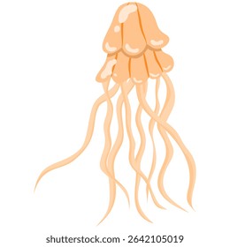 A jellyfish isolated on a transparent background.Vector illustration of a marine animal.
