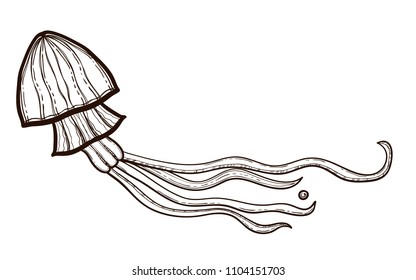 Jellyfish isolated on white background. Handmade sketch marine animals. Vector illustration of sea creatures. Coloring book for adults