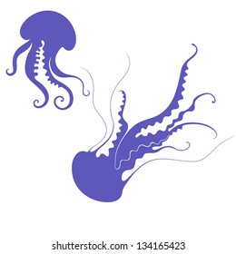  Jellyfish. Isolated on white background. Vector illustration