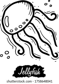 Quallen einzeln auf weißem Hintergrund. Vintage schwarze Vektorgrafikgrafik. Handgezeichnet in grafischem Stil.