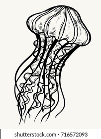 Jellyfish isolated symbol. Medusa with long tentacles logo. Cartoon lines art. Doodle print for child, textile, shirt, clothes, tattoo, banner, website, greeting card. Vector illustration.