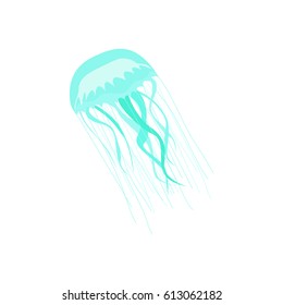 Jellyfish isolated vector