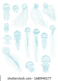 Jellyfish isolated vector elegance silhouette illustration set. Blue hand drawn vintage sea collection. Design elements