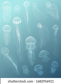 Jellyfish isolated vector elegance silhouette illustration set. White and blue hand drawn vintage sea collection. Design halftone elements