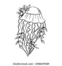 Jellyfish with lilies outline hand-drawn doodle marine sketch, underwater jelly fish illustration, medusa line art drawing animal , tattoo sketch .