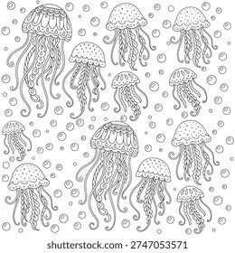 Jellyfish Line Art Pattern for Coloring Book