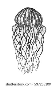 Line Drawing Jellyfish High Res Stock Images Shutterstock