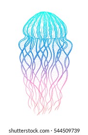 Jellyfish in line art style. Hand drawn vector illustration. Design for coloring book. Ocean elements