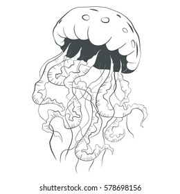 Jellyfish line art style. Hand drawn illustration. Marine vector blue underwater world. Vector