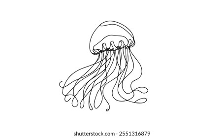 jellyfish line art Vector drawing of marine life.