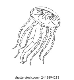 Jellyfish line art vector illustration. Black and white outline Jellyfish Coloring page for kids and adults. Page for relaxation and meditation. Vector illustration
