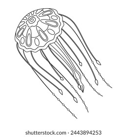 Jellyfish line art vector illustration. Black and white outline Jellyfish Coloring page for kids and adults. Page for relaxation and meditation. Vector illustration