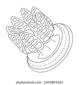 Jellyfish line art vector illustration. Black and white outline Jellyfish Coloring page for kids and adults. Page for relaxation and meditation. Vector illustration