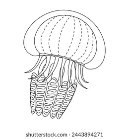 Jellyfish line art vector illustration. Black and white outline Jellyfish Coloring page for kids and adults. Page for relaxation and meditation. Vector illustration