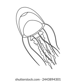 Jellyfish line art vector illustration. Black and white outline Jellyfish Coloring page for kids and adults. Page for relaxation and meditation. Vector illustration