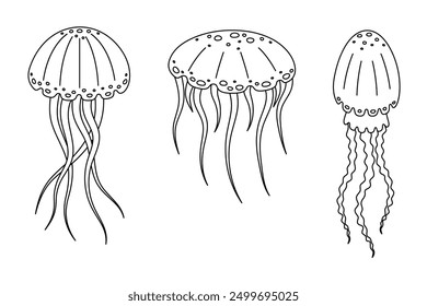 Jellyfish line art. Vector illustration on a white background. Coloring.