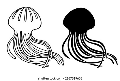 Jellyfish. Line and silhouette of sea jelly. Vector illustration isolated on white background.