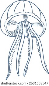 A jellyfish with long flowing tentacles drawn in a detailed line art style. The illustration captures the elegance of the jellyfish's form and movement. Cartoon vector illustration.