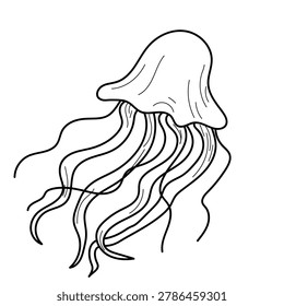 A jellyfish with long goads, a simple hand-drawn sketch. Vector illustration. A marine inhabitant of the underwater depths of the ocean, the drawing is isolated on a white background
