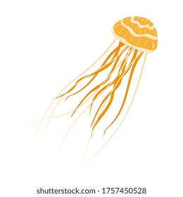 Jellyfish with long tentacles isolated on white. Yellow jellyfish with a beautiful pattern and flexible tentacles. Vector EPS10.