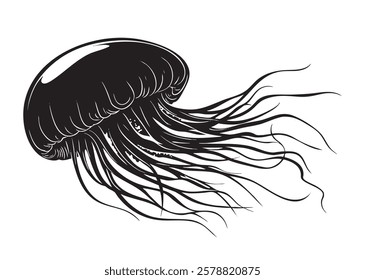 A jellyfish with long tentacles is shown in black and white