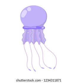 Jellyfish marine animal. Creature from the sea or ocean. Tropical life underwater. Medusae wildlife. Isolated flat vector illustration