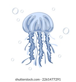 Jellyfish. Marine dweller. Concept of sea and ocean life. Vector illustration