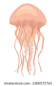 Jellyfish, medusa clipart. Single doodle of underwater animal isolated on white. Colored vector illustration in cartoon style.