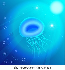 jellyfish or medusa - marine animal underwater, blue ocean illustration with plankton, sea nature , undersea background